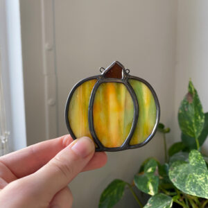 Multicolor pumpkin