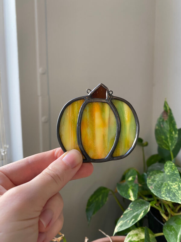 Multicolor pumpkin