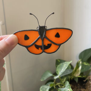 Jack-o'-lantern butterfly
