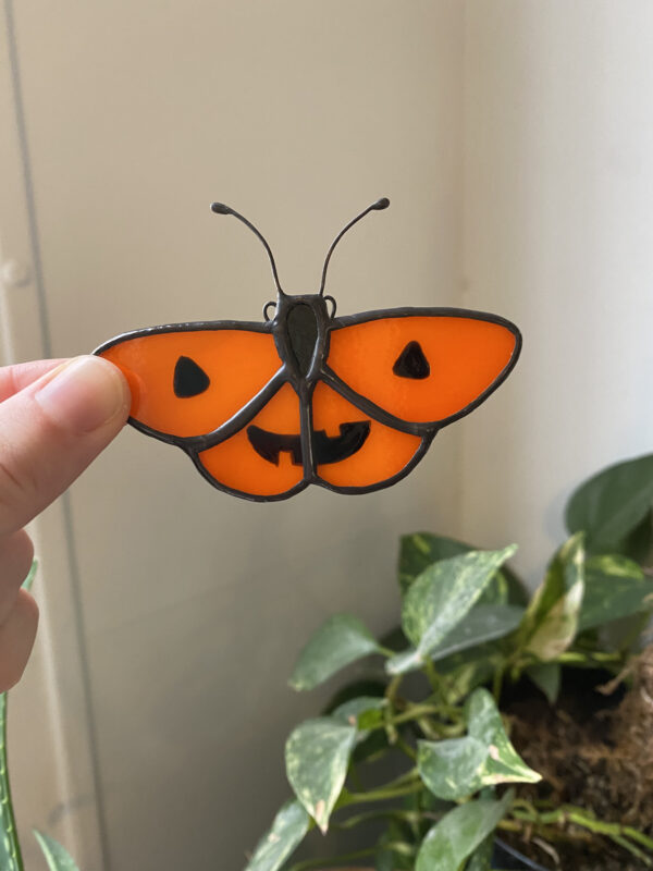 Jack-o'-lantern butterfly
