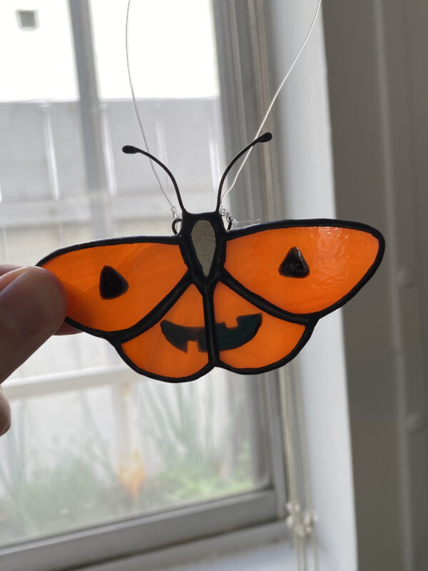 Jack-o'-lantern butterfly - Image 2