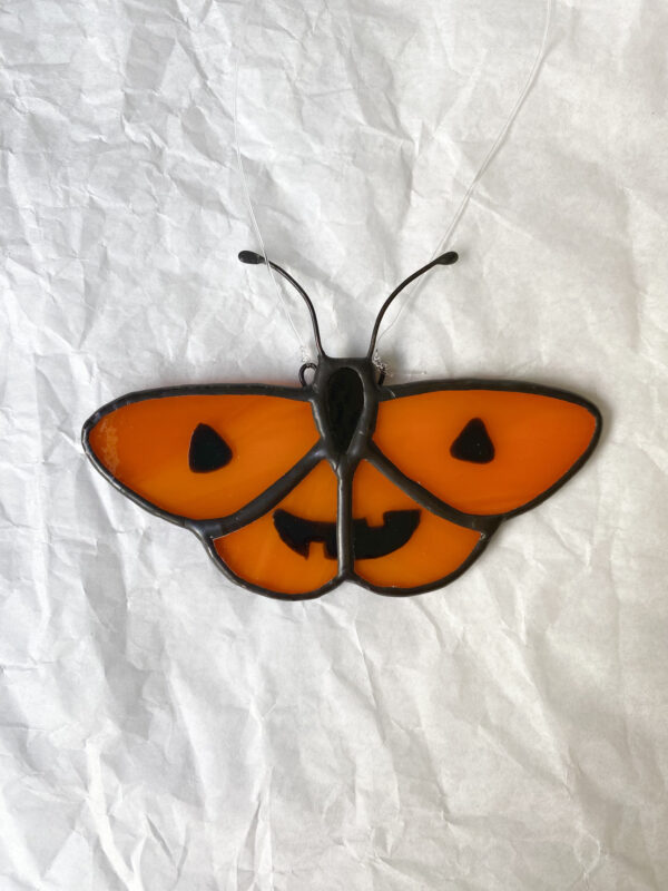 Jack-o'-lantern butterfly - Image 3