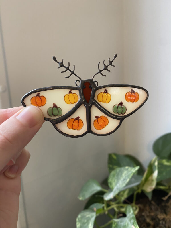 Pumpkin moth