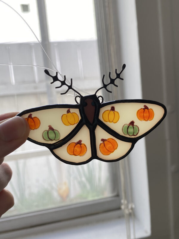 Pumpkin moth - Image 2