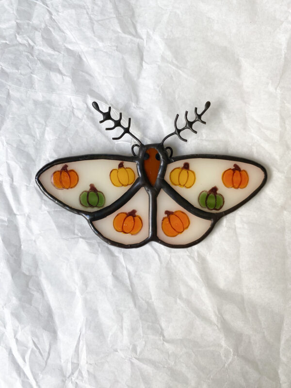 Pumpkin moth - Image 3